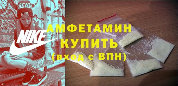 прущие грибы Беломорск