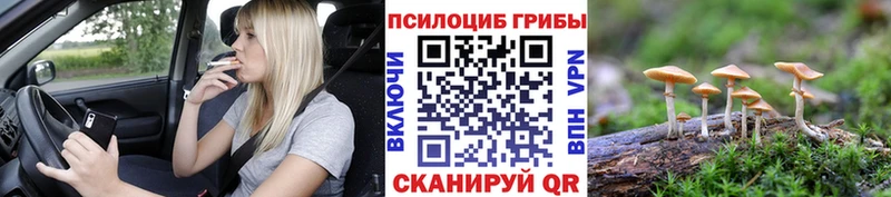 Галлюциногенные грибы GOLDEN TEACHER хочу Волоколамск