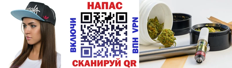 Бошки Шишки сатива  магазин продажи наркотиков  Волоколамск 